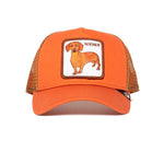 Goorin Bros - Wiener Dawg - Trucker/Snapback - Orange Rust
